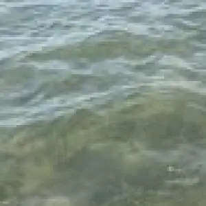 Profile photo of M T